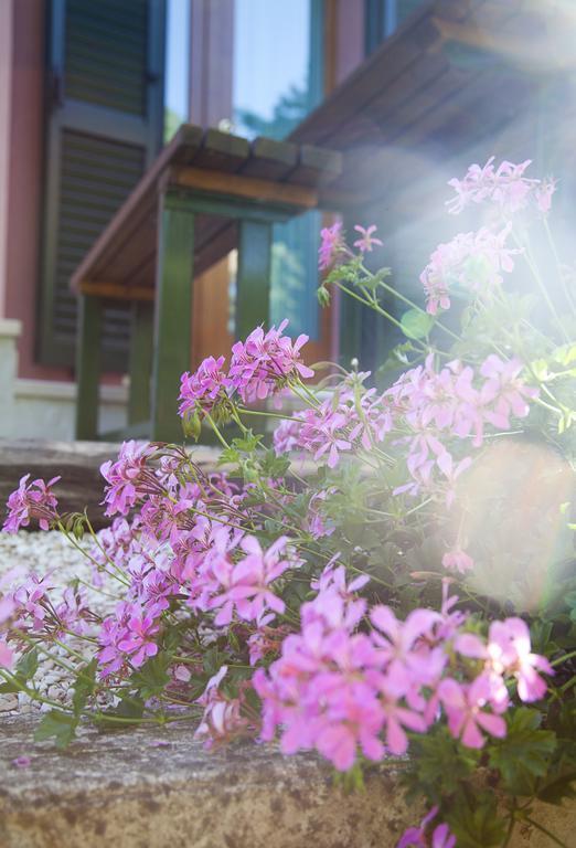 Country House Angelo Blu Urbania Dış mekan fotoğraf